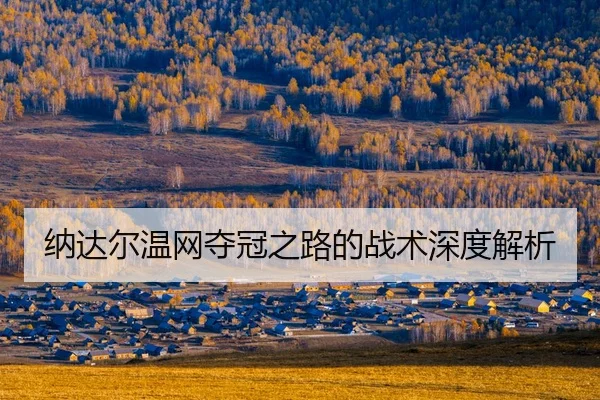 na-da-er-wen-wang-duo-guan-zhi-lu-de-zhan-shu-shen-du-jie-xi-2-769.jpg